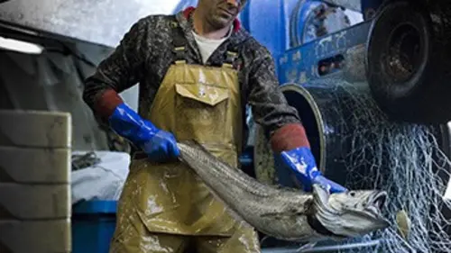 Les bleus de la mer S01E04 Le combat continue