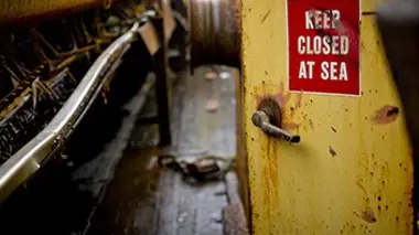 J'ai des dollars plein les yeux