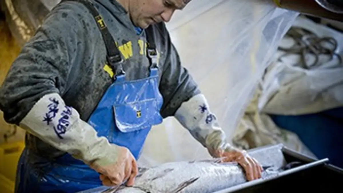 Les bleus de la mer S01E07 Quitte ou double