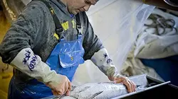 Visuel de Les bleus de la mer