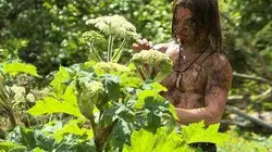 Les Brown : génération Alaska Conditions extrêmes