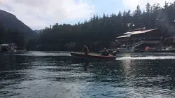 Les Brown : génération Alaska Ne renonce jamais