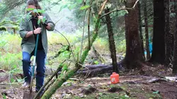 Les Brown : génération Alaska Pénurie de bois