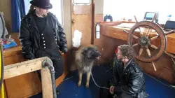 Les Brown : génération Alaska Pénurie de bois