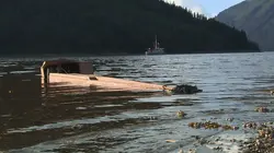 Les Brown : génération Alaska En panne dans l'eau