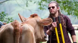 Les Brown : génération Alaska Ours en vue