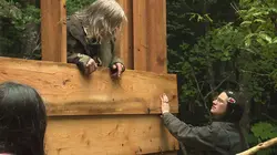 Les Brown : génération Alaska En panne dans l'eau