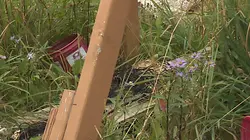 Les Brown : génération Alaska Chamailleries dans l'air