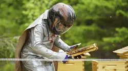 Les Brown : génération Alaska Un ours alléché