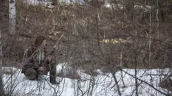 Les Brown : génération Alaska en streaming