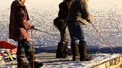 Les Brown : génération Alaska La construction de Bam Bam