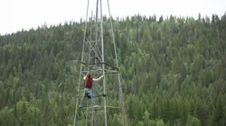 Les Brown : génération Alaska L'arche de Noé