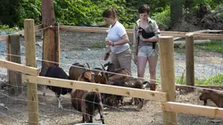 Les Brown : génération Alaska Un mariage dans le bush