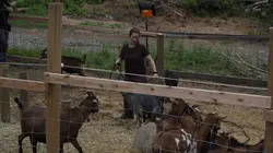 Les Brown : génération Alaska Avant le grand froid