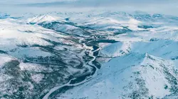 Les Brown : génération Alaska Premières neiges