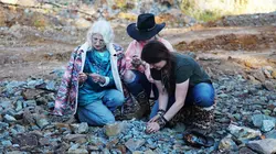 Les Brown : génération Alaska