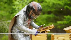 Les Brown : génération Alaska Un ours alléché