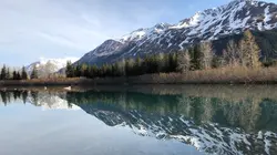 Les Brown : génération Alaska