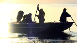 Les Brown : génération Alaska Bateau en vue