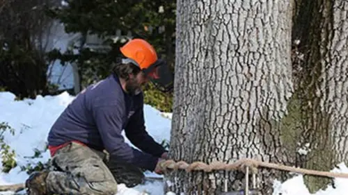 Les bûcherons dans la ville S01E01 La chance du débutant