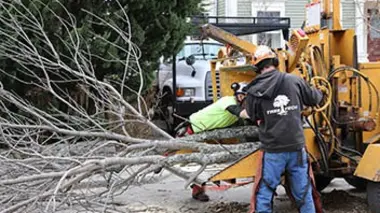 Dans la fosse aux lions