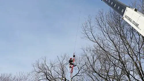 Les bûcherons dans la ville S01E10 Lutte finale