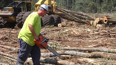 Au bord du désastre