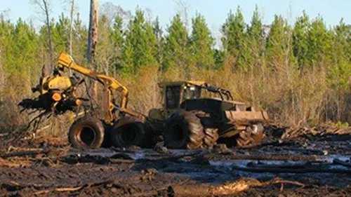 Les bûcherons de l'extrême S01E01 Nerfs solides