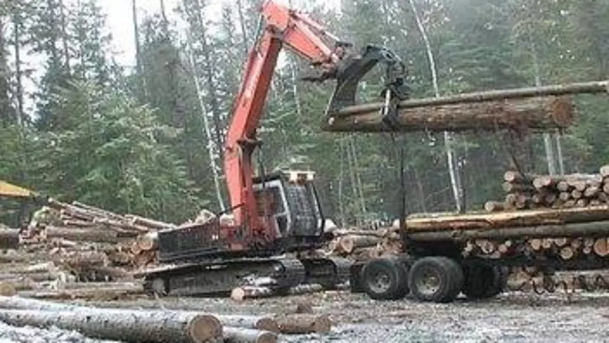 Les bûcherons du marais S03E02 Diviser pour mieux régner