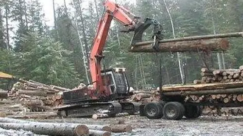 Les bûcherons du marais S03E02 Diviser pour mieux régner