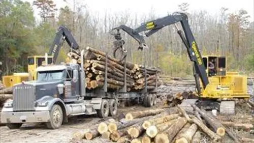 Les bûcherons du marais S04E01 Tempête de neige