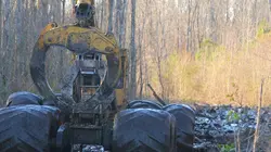 Les bûcherons de l'extrême S01E01 Abattage dans la boue