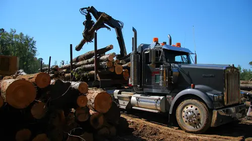Les bûcherons de l'extrême S01E02 Abattage dans les marais