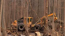 Les bûcherons de l'extrême