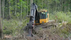 Les bûcherons de l'extrême