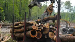 Les bûcherons de l'extrême S02E06 Le retour