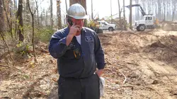 Les bûcherons de l'extrême