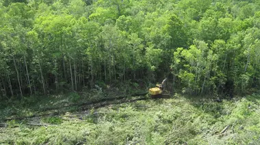 La poussée finale