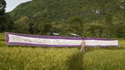Visuel de Les Bugis de Sulawesi : Cinq façons d'être au monde