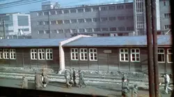 Les camps de l'horreur nazie