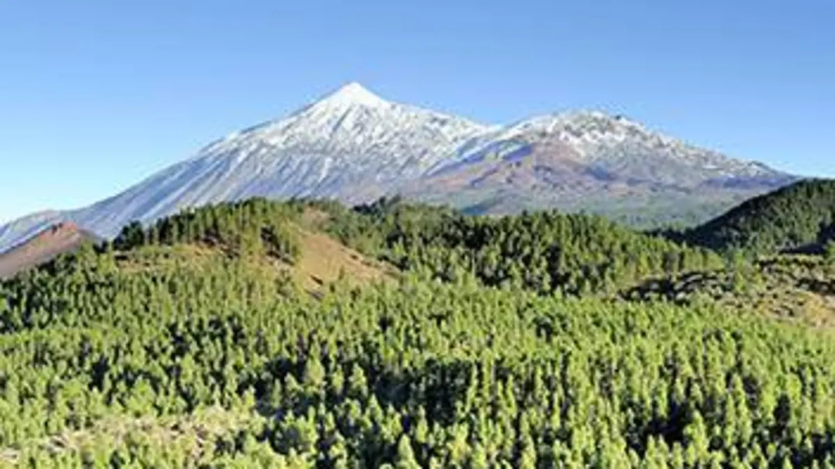 Les Canaries, terres de volcans