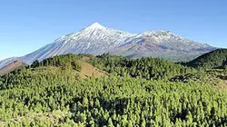 Visuel de Les Canaries, terres de volcans