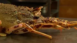 Les carnets de Julie S04E31 Crustacés à la carte