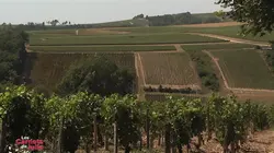 Les carnets de Julie S04E04 Le pays auxerrois