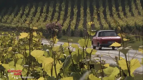 Les carnets de Julie S04E04 Le pays auxerrois