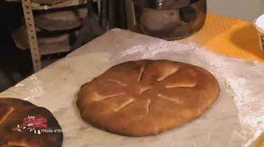 Les saveurs de l'huile d'olive