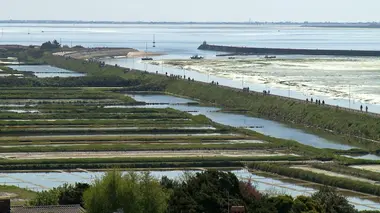 Poissons à la carte