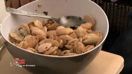 Les carnets de Julie S03E05 La baie de Saint-Brieuc