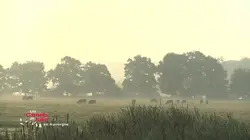 Les carnets de Julie