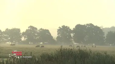 Le Bourbonnais, en Auvergne (Allier)